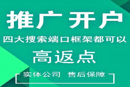 百度SEO推广公司案例精选：揭秘优化策略